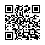 USB Sandisk CZ71 32Gb