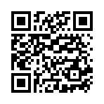 Cáp sạc Hoco X5 Bamboo iP