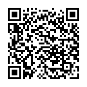 Ugreen 10615 2M màu xám cáp 3.5mm TRS ra 2 cổng 6.35mm TS AV126 20010615