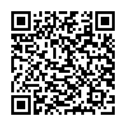 Cáp Ugreen 50184 Cat6 Utp Lan Đồng Nguyên Chất 1M Nw101 10050184