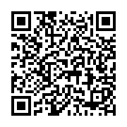 Cáp mạng Ampcom Cat6a Flat 5M đúc sẵn 2 đầu AMCAT6ABK0850