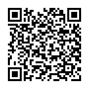 Laptop Dell Pro 14 Essential PV14250-71084490 (Intel Core 7 150U | 16GB | 512GB | Intel Graphics | 14 inch FHD+ | Win 11 | Bạc)