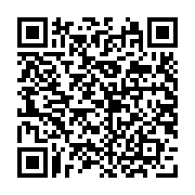 Laptop Dell Inspiron 15 3520 25P2311 (Intel Core i5-1235U | 8GB | 512GB | Intel Iris Xe Graphics | 15.6 inch FHD | Win 11 | Office | Bạc)