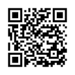 USB Sandisk CZ74 128Gb